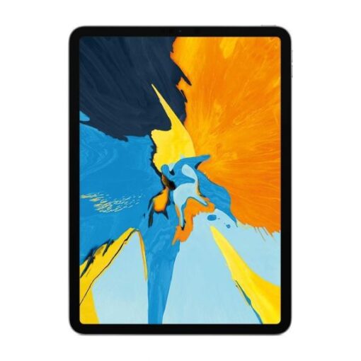 begagnad Apple iPad Pro (11-inch) (1st generation) 64GB mycekt gott skick Space Gray