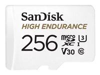 SanDisk High Endurance microSDXC 256GB 100MB/s
