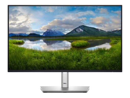 Dell P2425H 24" 1920 x 1080 (Full HD) VGA (HD-15) HDMI DisplayPort 100Hz Pivot Skærm