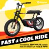 Rambler 16 Electric Bike