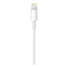 Apple USB-C to Lightning Cable Lightning-kabel 1m