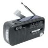 Muse MH-07 DS Privat radio