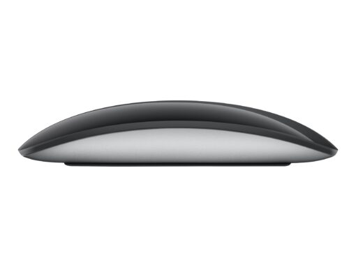 Apple Magic Mouse Trådløs Sort Sølv