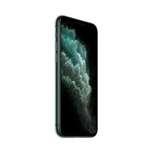 iPhone 11 Pro Max 64GB Midnattsgrön - Mycket Bra Skick