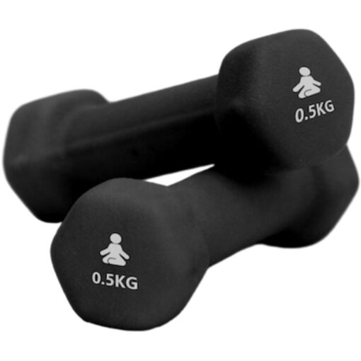 Premium Dumbbells 2 x 0.5 kg