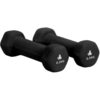 Premium Dumbbells 2 x 0.5 kg