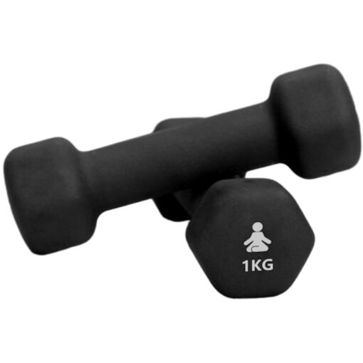 Premium Dumbbells 2 x 1 kg