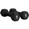 Premium Dumbbells 2 x 2 kg