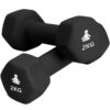 Premium Dumbbells 2 x 2 kg