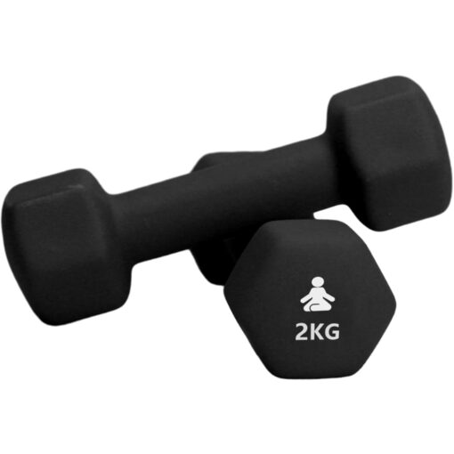 Premium Dumbbells 2 x 2 kg